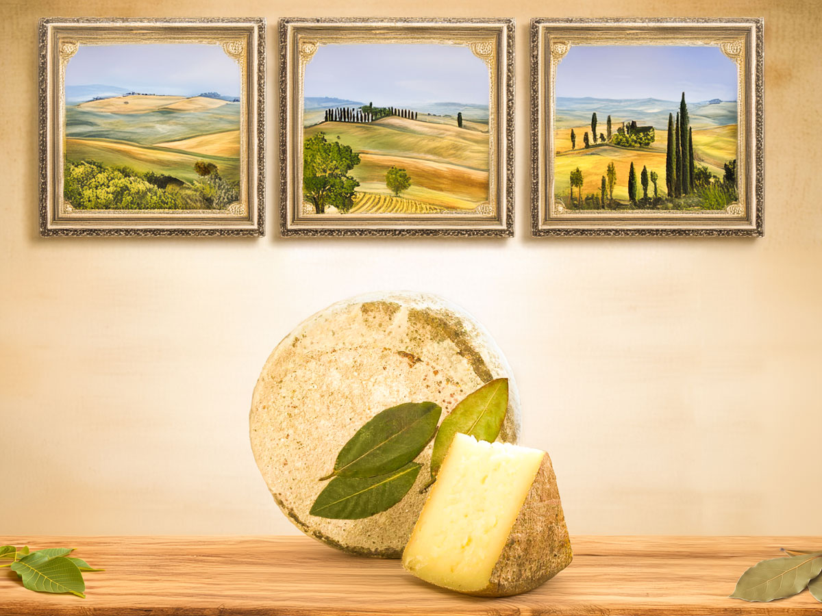 Wheel of Pecorino aged in Ash and Walnut Leaves, showcasing its artisanal texture and rustic presentation, aged in terracotta jars for a distinctive flavour.